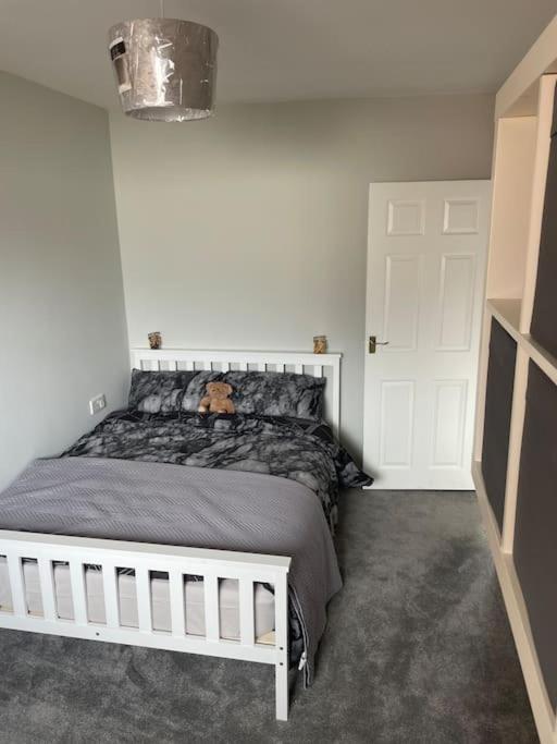 Fantastic Full 3 Bedroom Modern Apartment ベルファスト エクステリア 写真