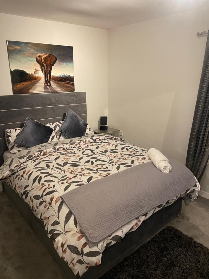 Fantastic Full 3 Bedroom Modern Apartment ベルファスト エクステリア 写真